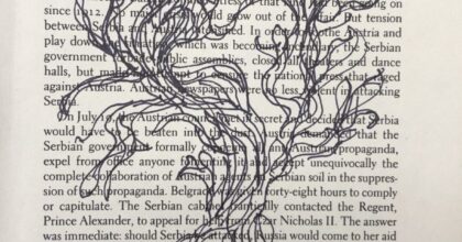 joshua tree drawn inside of a book