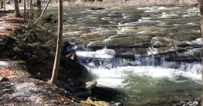 river running by forest and hill